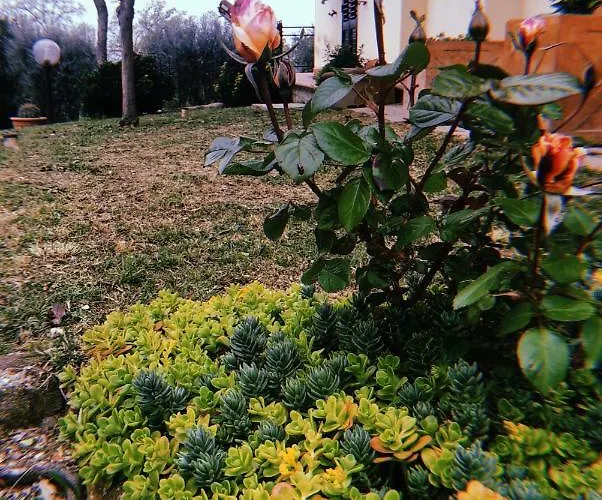 Gli Ulivi Prázdninový dům *