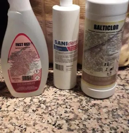 Gli Ulivi Сasa de vacaciones *