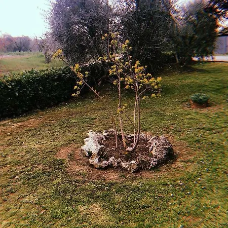 Gli Ulivi Сasa de vacaciones Cortona