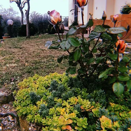 Gli Ulivi Σπίτι διακοπών *