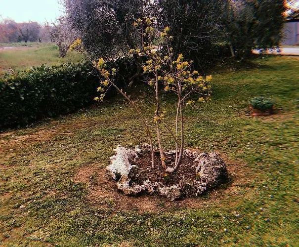 Gli Ulivi Дом отдыха Кортона