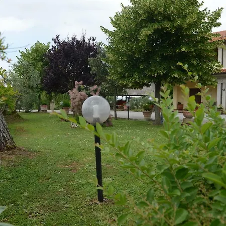 Gli Ulivi
